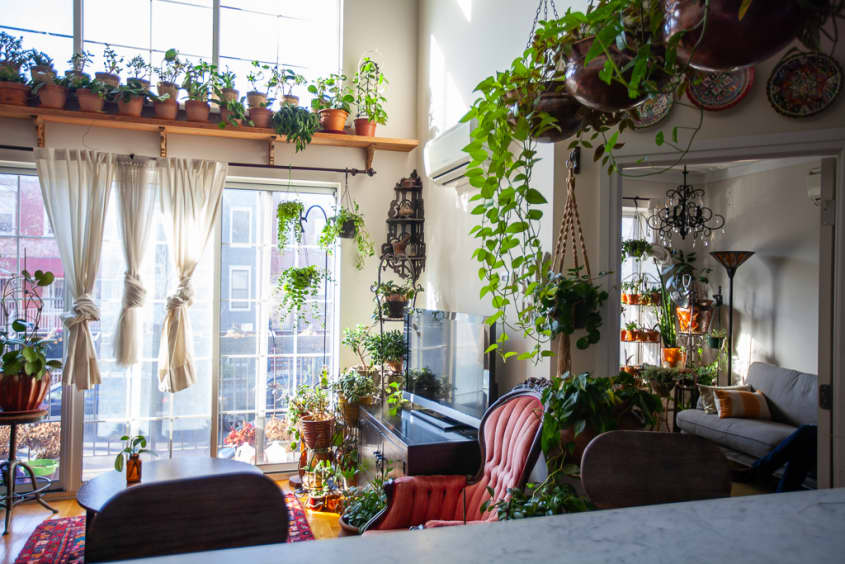 Image showcasing Plant-Filled Brooklyn Apartment Tour Photos | Apartment Therapy